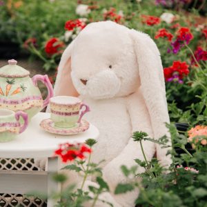 Big Nibble 20 Bunny – Cream