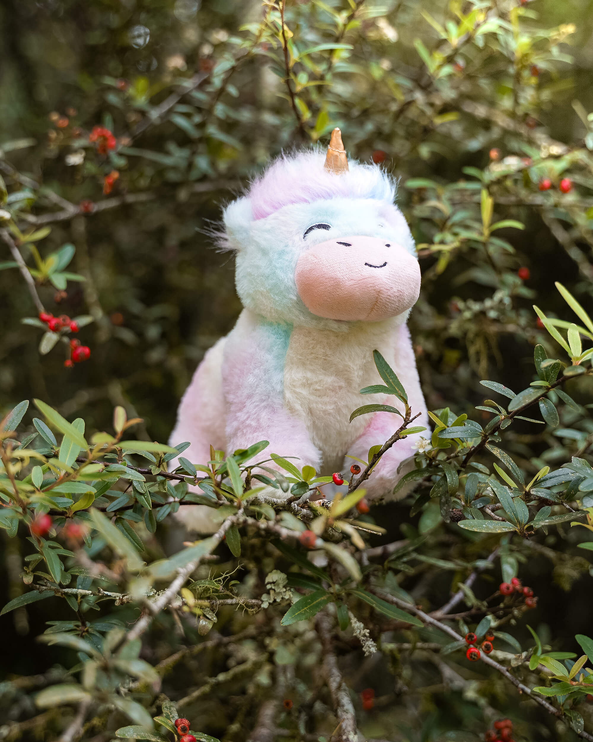FYL_Plushies_Unicorn_Outdoor_1.jpg