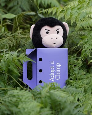 Chimp Plushie