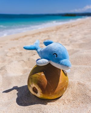 Dolphin Plushie