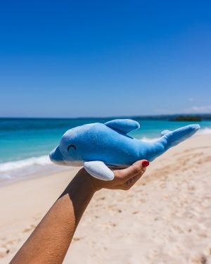 Dolphin Plushie